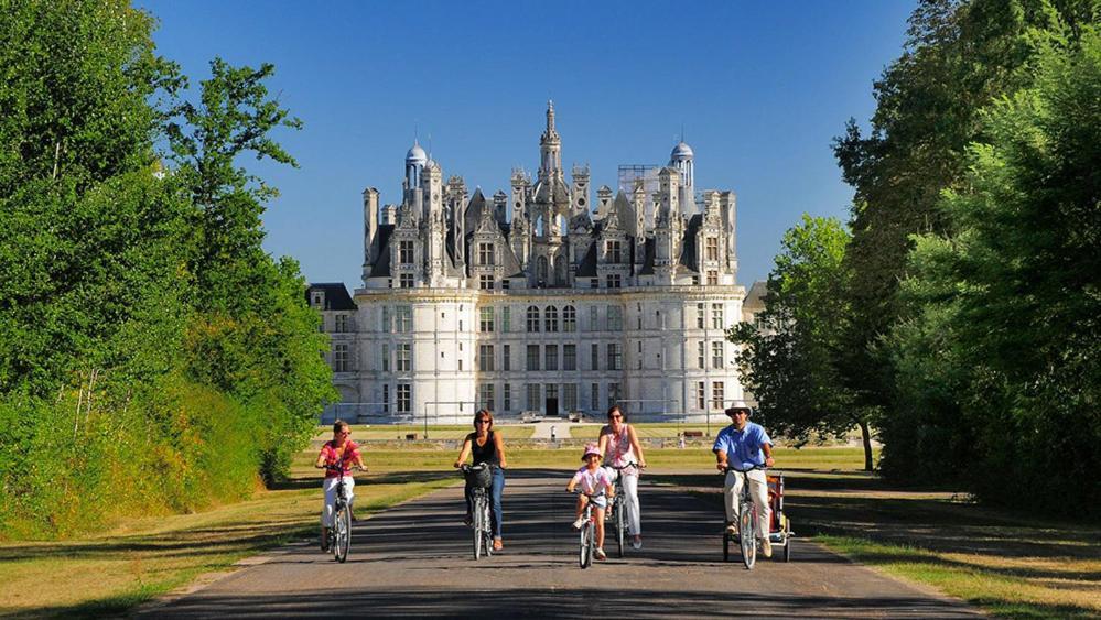 Loire Velo 3 Appartements Moderne Velo Parking 20 Places Velos Centre Ville Historique Blois Buitenkant foto